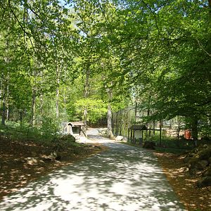 Sk?nes Djurpark May 2013