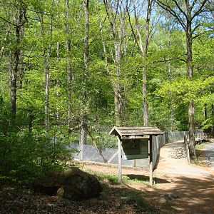 Sk?nes Djurpark May 2013