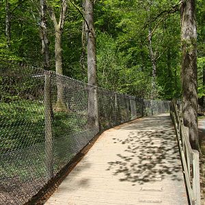 Sk?nes Djurpark May 2013