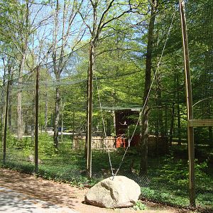 Sk?nes Djurpark May 2013