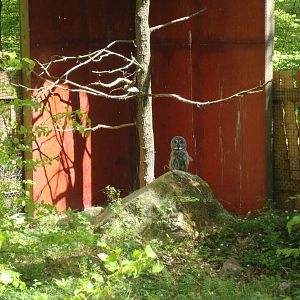 Sk?nes Djurpark May 2013