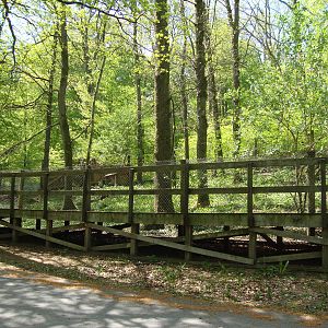 Sk?nes Djurpark May 2013