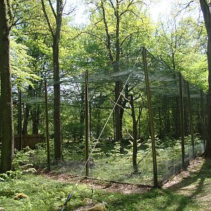 Sk?nes Djurpark May 2013