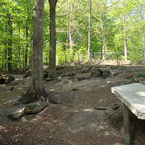 Sk?nes Djurpark May 2013