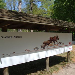 Sk?nes Djurpark May 2013