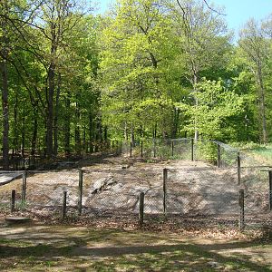 Sk?nes Djurpark May 2013