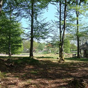 Sk?nes Djurpark May 2013