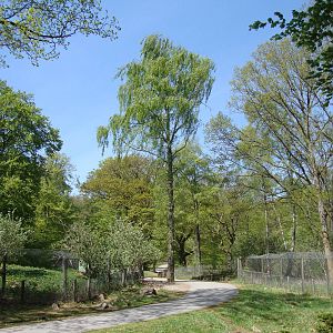 Sk?nes Djurpark May 2013