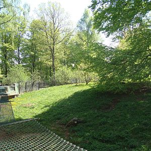 Sk?nes Djurpark May 2013