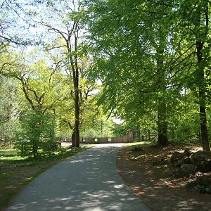 Sk?nes Djurpark May 2013