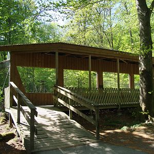 Sk?nes Djurpark May 2013