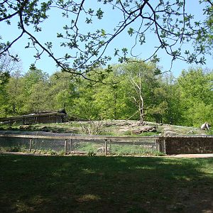 Sk?nes Djurpark May 2013