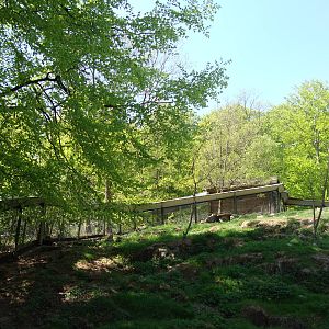 Sk?nes Djurpark May 2013