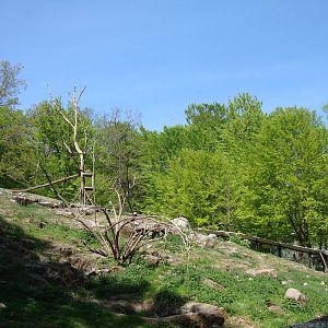 Sk?nes Djurpark May 2013