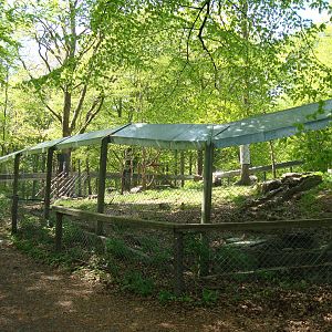 Sk?nes Djurpark May 2013