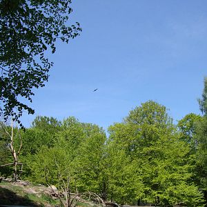 Sk?nes Djurpark May 2013