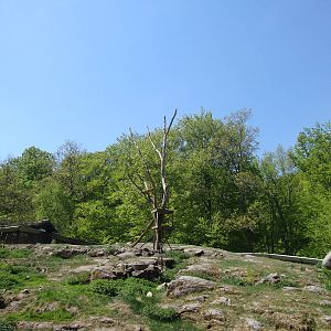 Sk?nes Djurpark May 2013