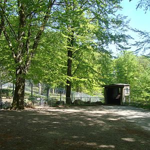 Sk?nes Djurpark May 2013