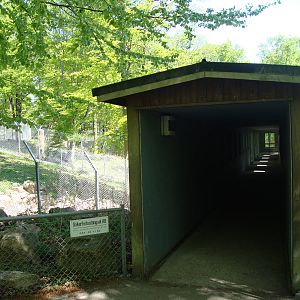 Sk?nes Djurpark May 2013