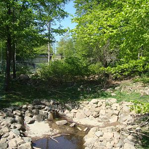 Sk?nes Djurpark May 2013