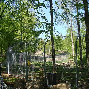 Sk?nes Djurpark May 2013