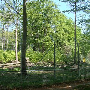 Sk?nes Djurpark May 2013