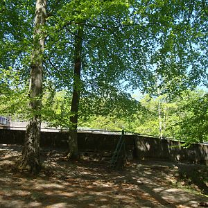 Sk?nes Djurpark May 2013