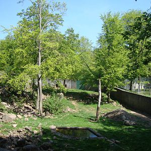 Sk?nes Djurpark May 2013