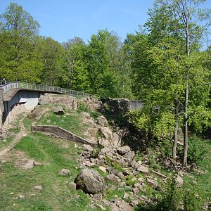 Sk?nes Djurpark May 2013