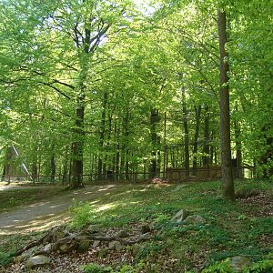 Sk?nes Djurpark May 2013