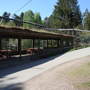 Sk?nes Djurpark May 2013