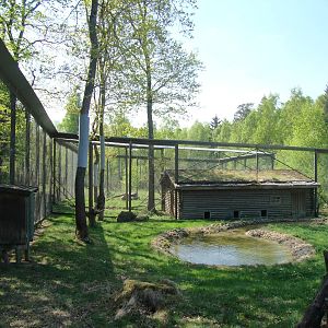 Sk?nes Djurpark May 2013