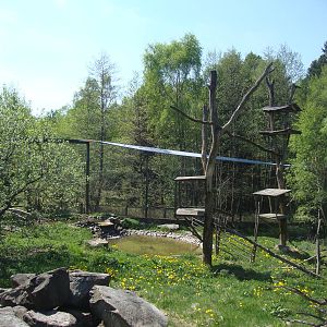 Sk?nes Djurpark May 2013