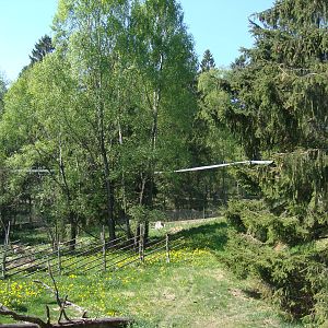 Sk?nes Djurpark May 2013