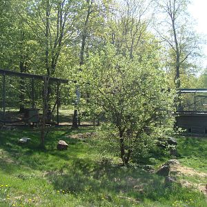 Sk?nes Djurpark May 2013