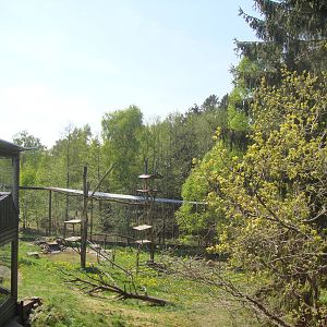 Sk?nes Djurpark May 2013