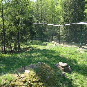 Sk?nes Djurpark May 2013