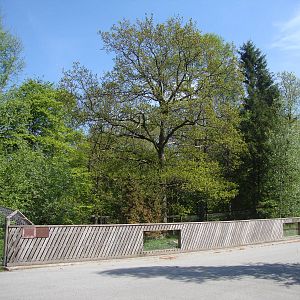 Sk?nes Djurpark May 2013