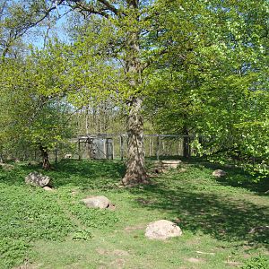 Sk?nes Djurpark May 2013