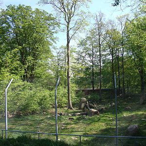 Sk?nes Djurpark May 2013