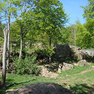 Sk?nes Djurpark May 2013