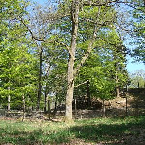 Sk?nes Djurpark May 2013