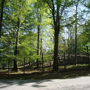 Sk?nes Djurpark May 2013