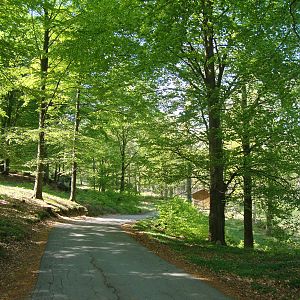 Sk?nes Djurpark May 2013