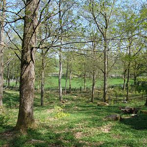 Sk?nes Djurpark May 2013