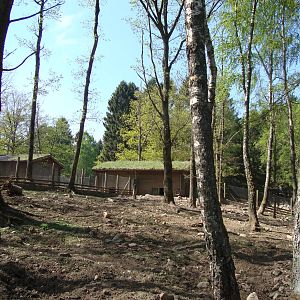 Sk?nes Djurpark May 2013