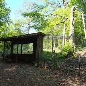 Sk?nes Djurpark May 2013