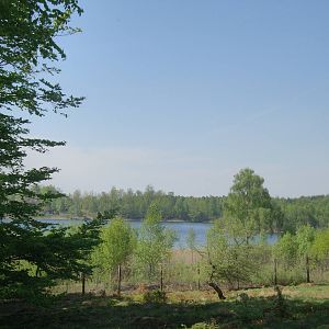 Sk?nes Djurpark May 2013