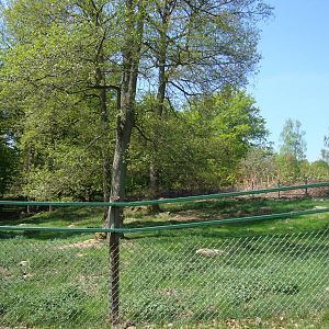 Sk?nes Djurpark May 2013