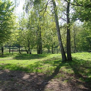 Sk?nes Djurpark May 2013